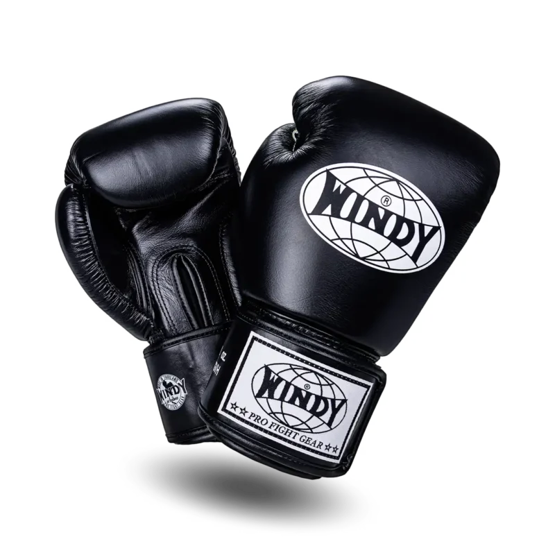 Windy Boxing Gloves