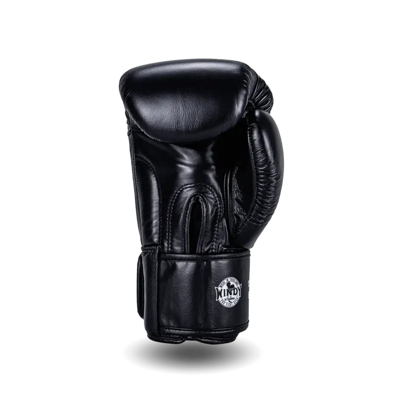 Windy Boxing Gloves Black Back View